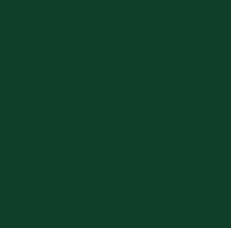 Chrome icon