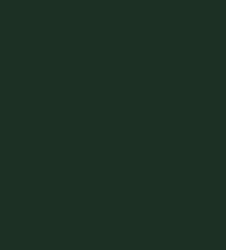 I set my login and password for a protected site in IDM