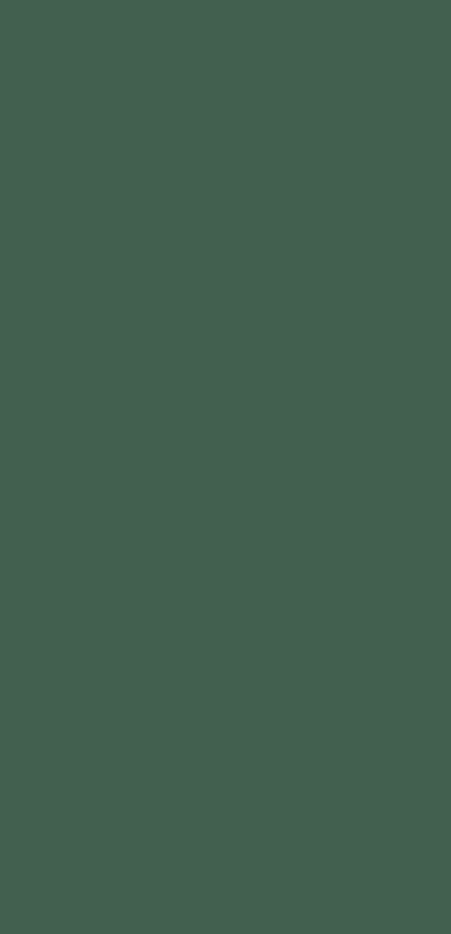 Tamoro Script Free Font Download