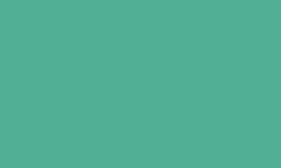 Mint vs. Quicken: Educational Offerings