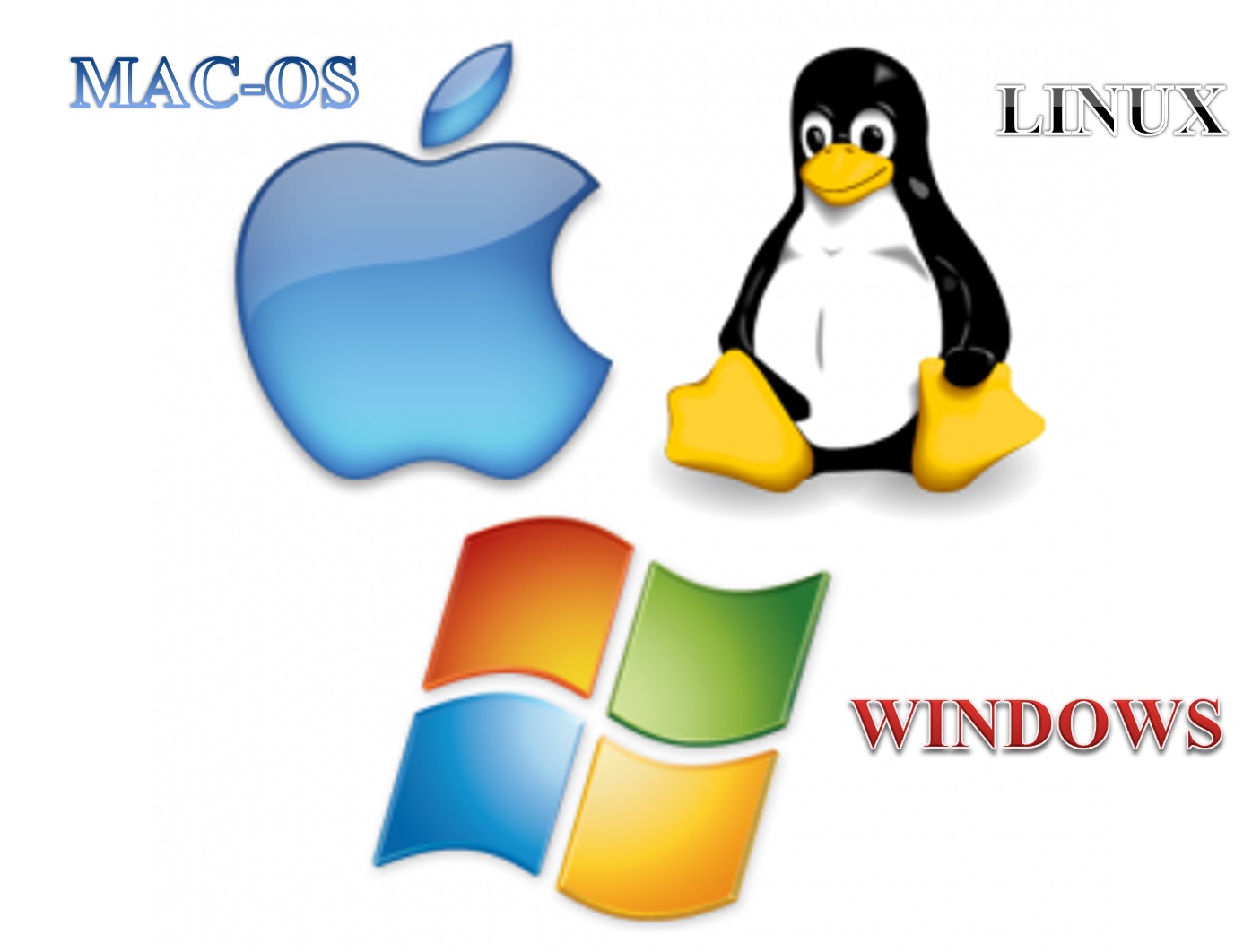 Download xq nhema 500 2017