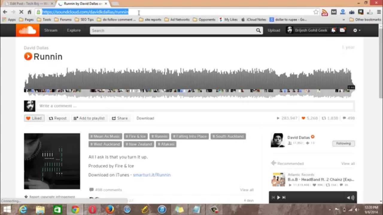 How to Download YouTube Funny Cat Videos (for Kids) Free