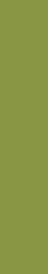 02- RG (RGB-RGL-RGM)