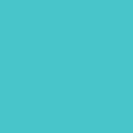 WEBEX Player