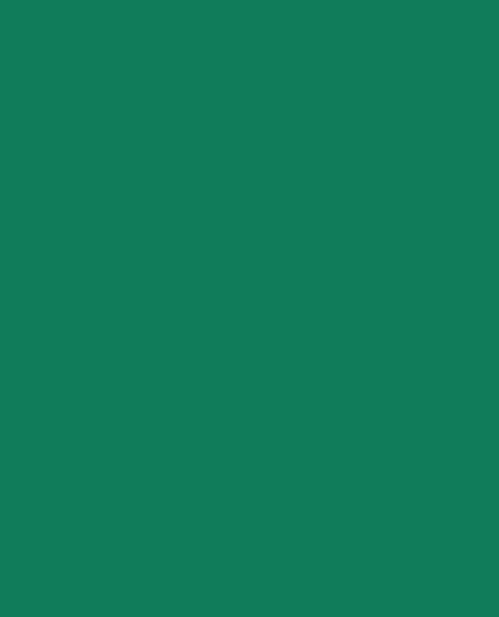 New JB4 Firmware 4 22 With CanFlap