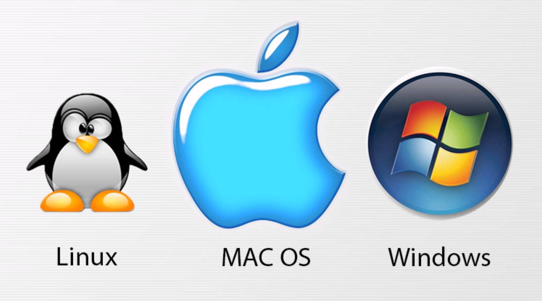 Do you Want to Install WhatsApp on Your PC?